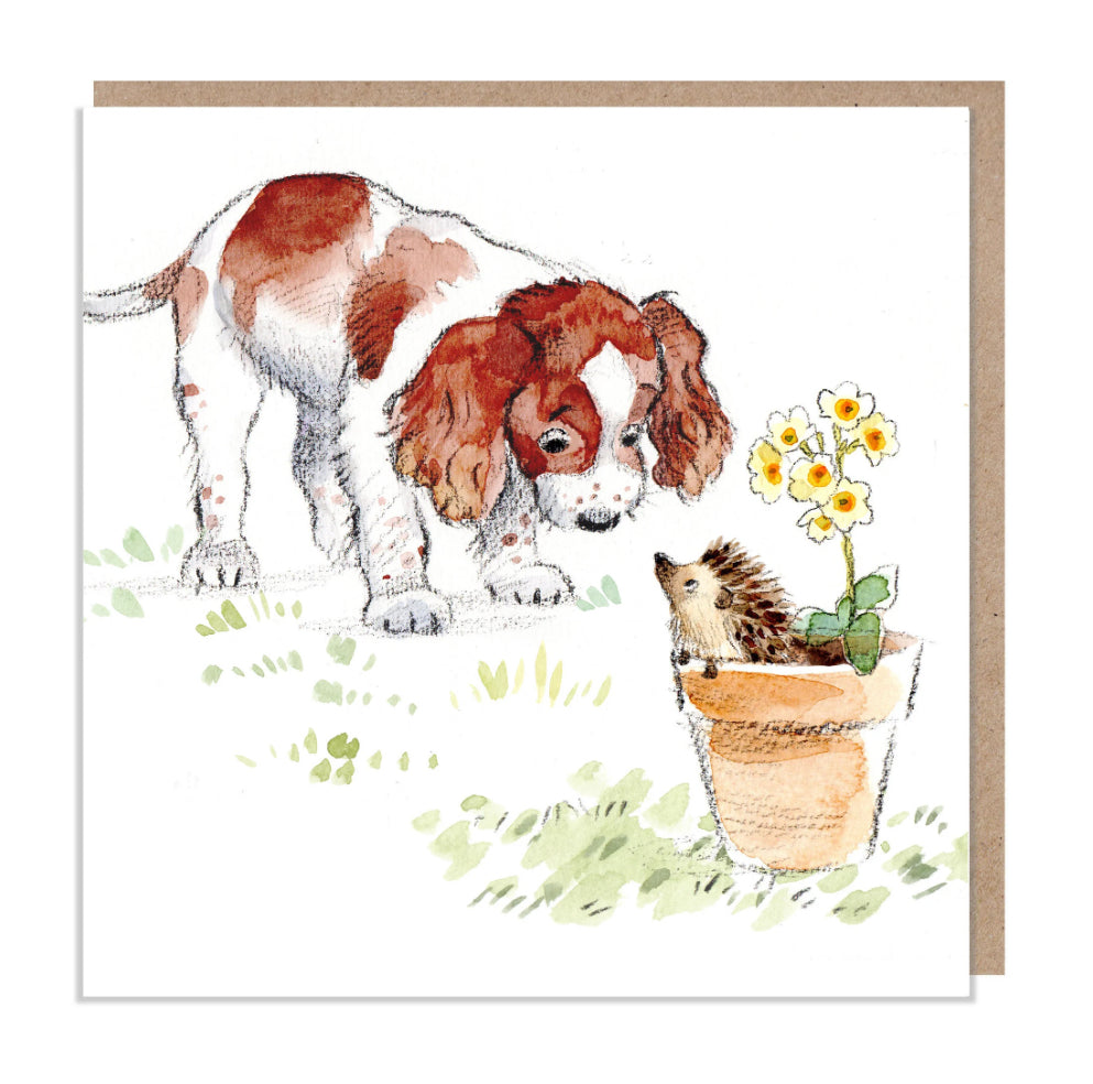 Paper Shed Design Card - Springer Spaniel with Hedgehog