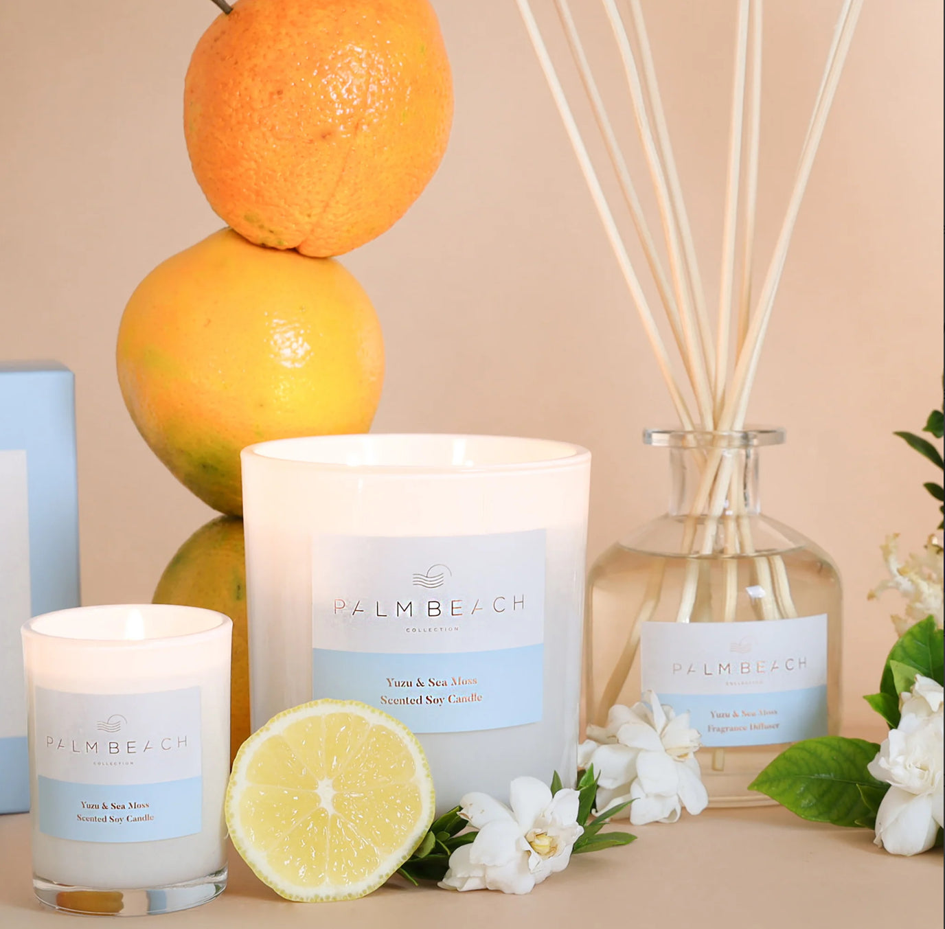 Standard Candle 420g - Yuzu & Sea Moss