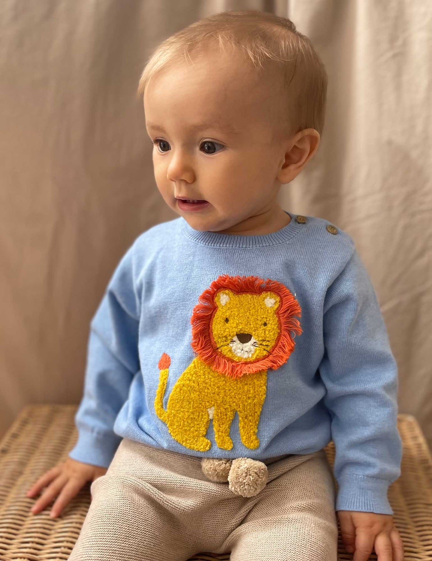 Lion Jumper