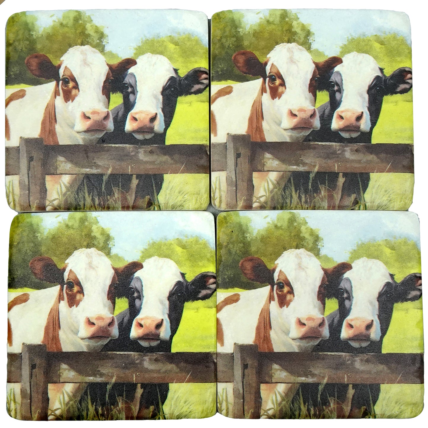 Moo-ving Moment Resin Coasters (Set of 4)