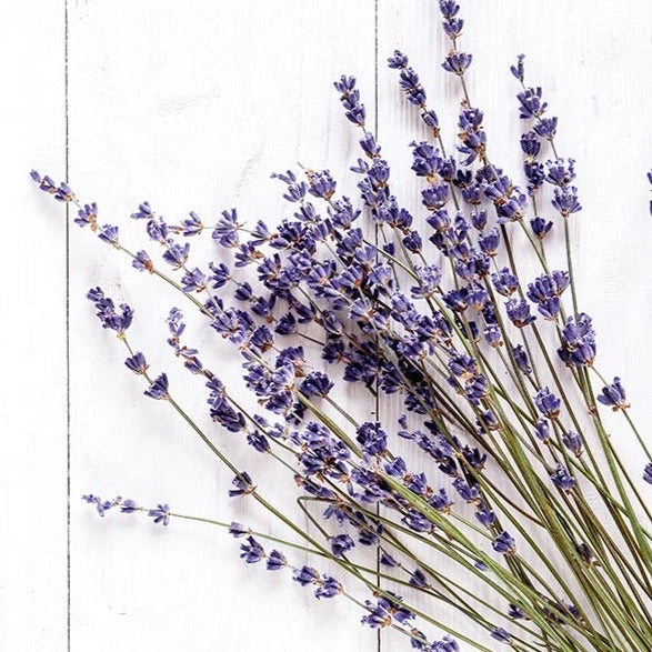 Lavender Organic Essential Oil