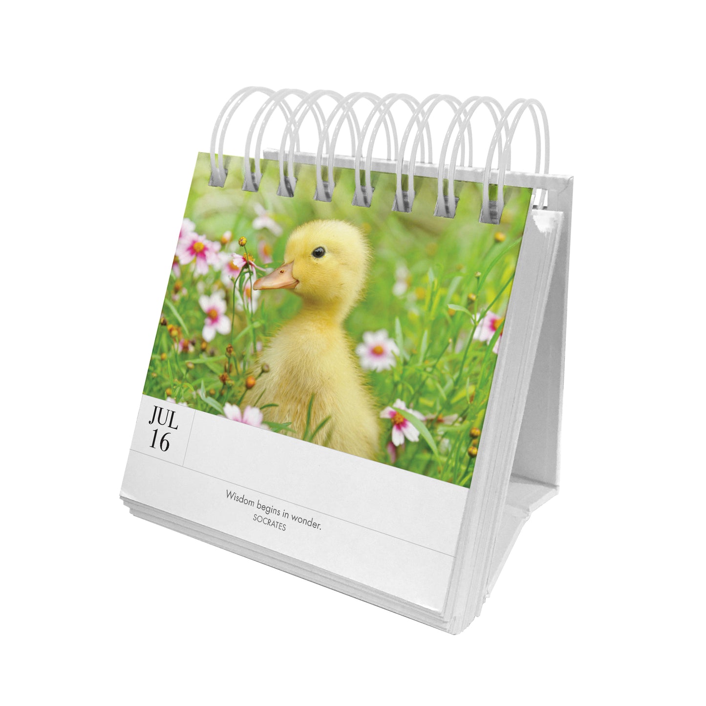 Animal 365 Day Calendar - Puppy