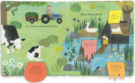 Who’s Hiding on the Farm? A Lift the Flap Book