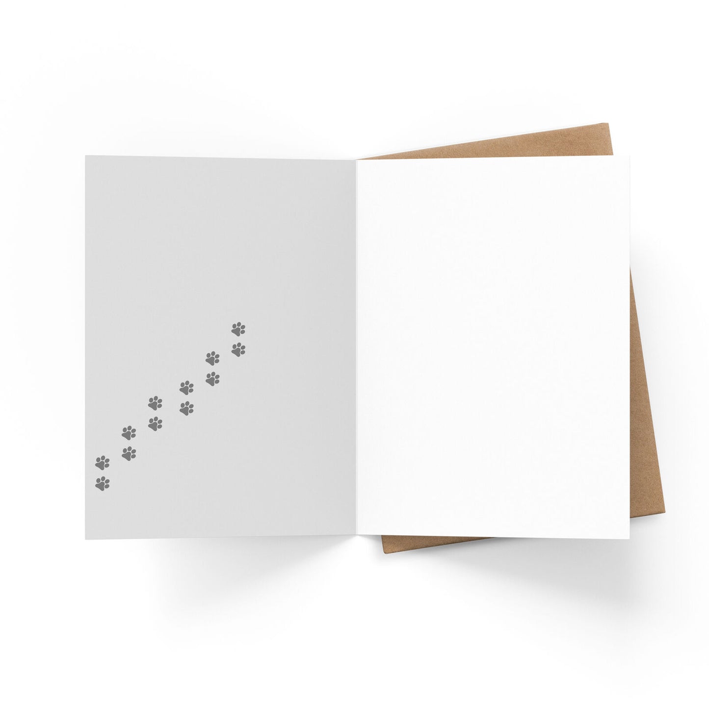 Animal Affirmations Card - OMG I Didn’t Realise You Were That Old! (Cat)