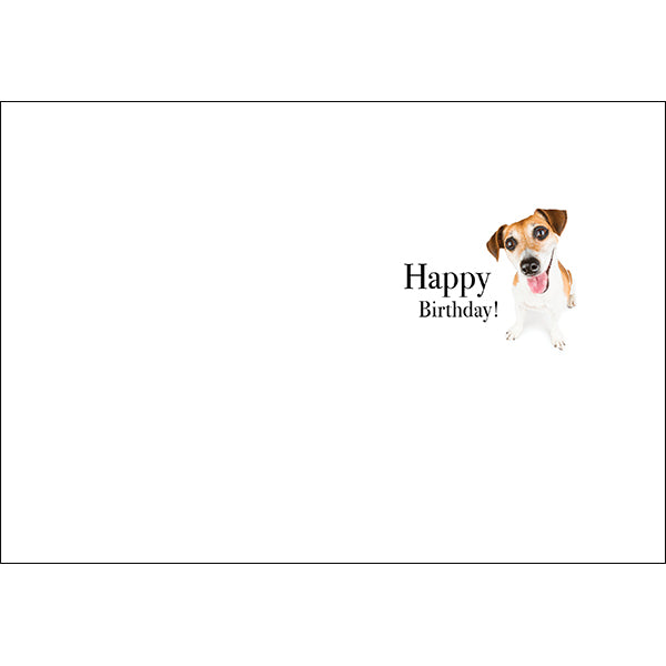 Animal Affirmations Card - Did Someone Say Cake? (Puppy)