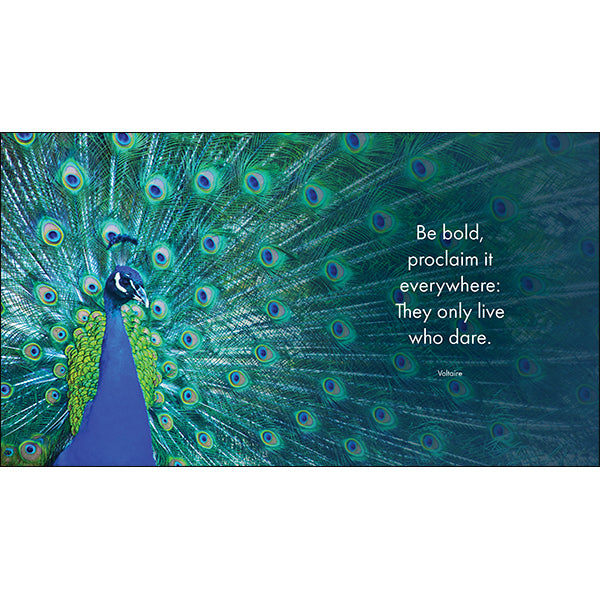 A Little Book of Jungle Joy