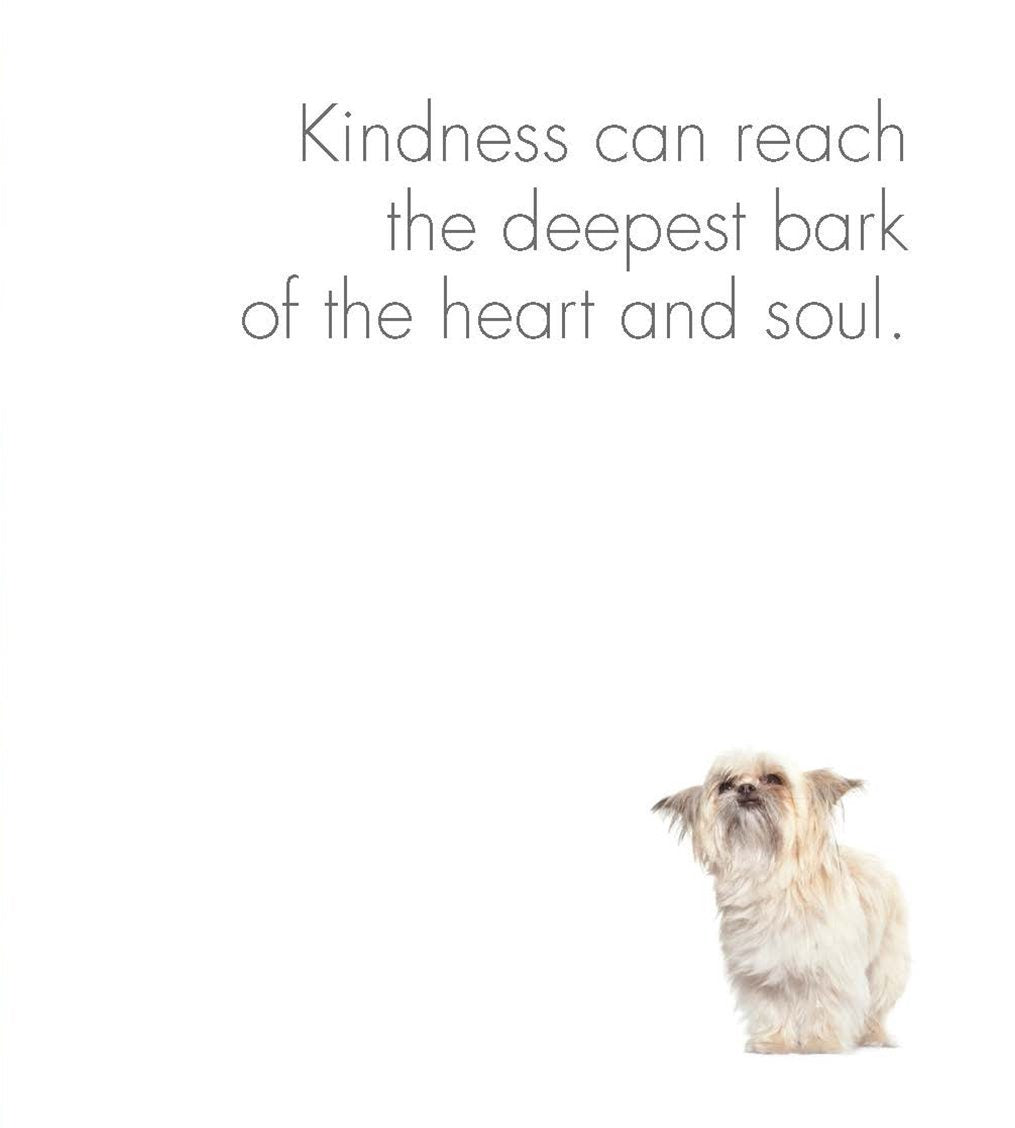 A Little Book of Divine Dogs