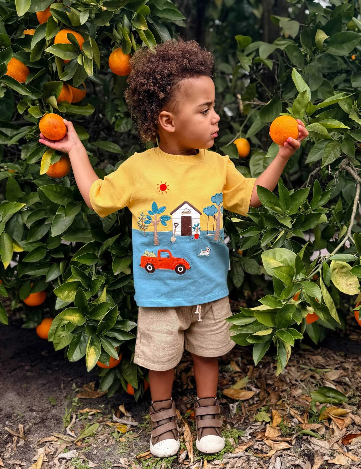 Garden Shed Relaxed Tee
