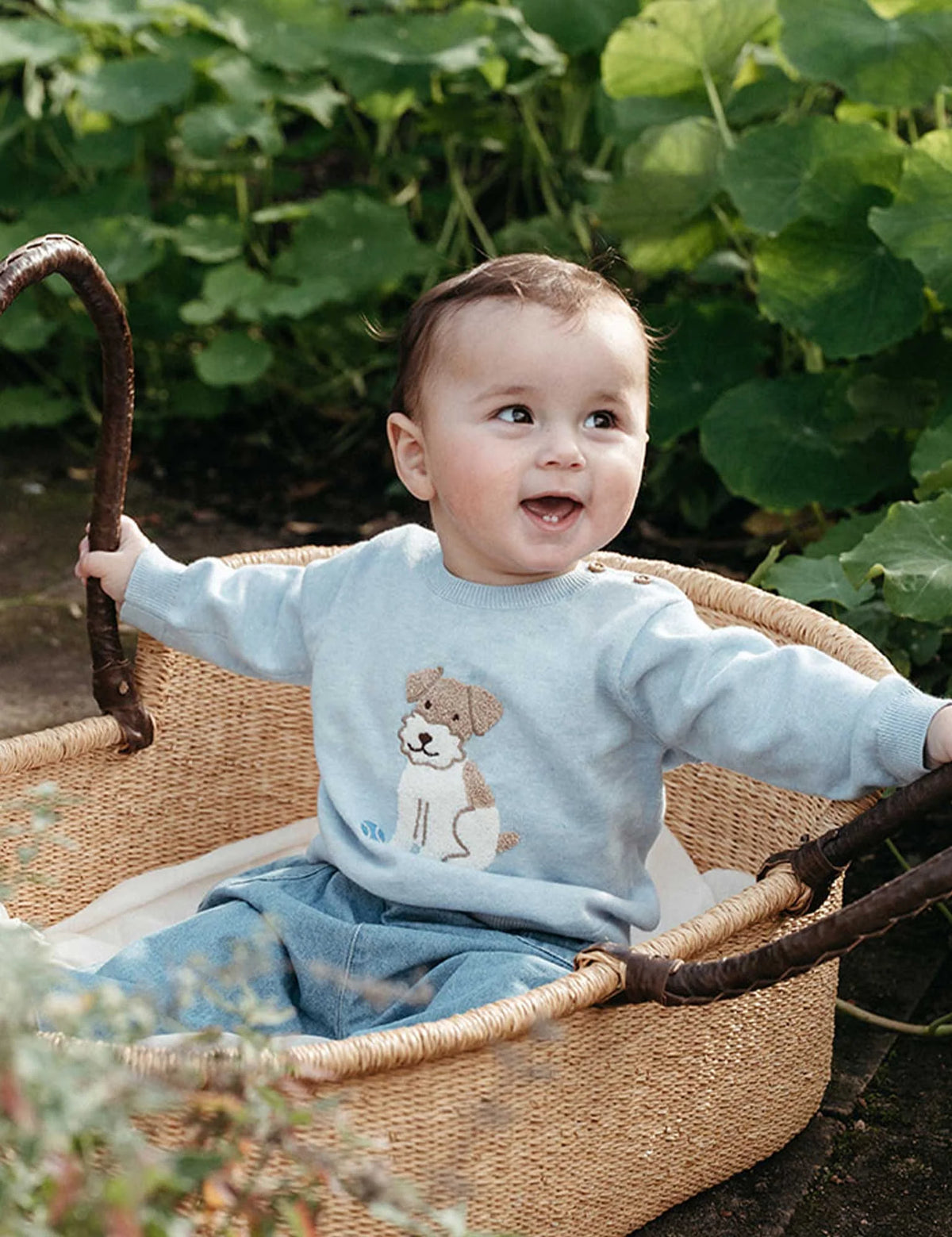 Blue Puppy Jumper