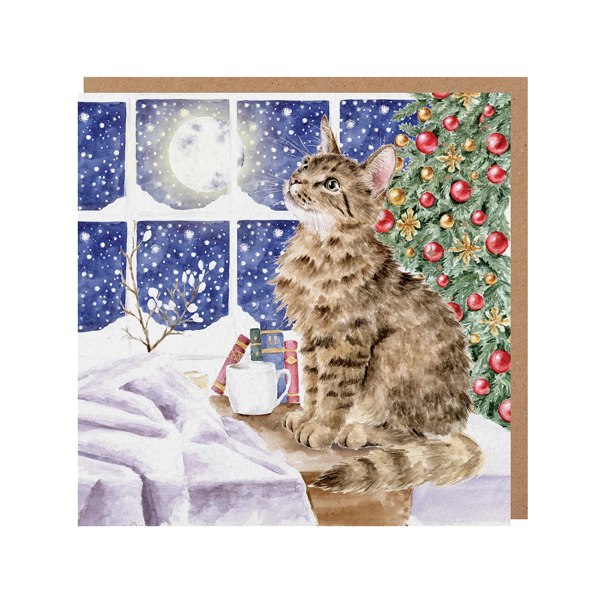 Wrendale Designs Christmas Card - ‘Christmas Stars’ (Tabby Cat)”