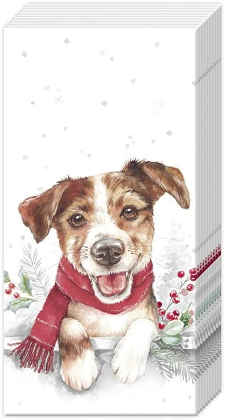 Christmas Pocket Tissues - Louie Pup