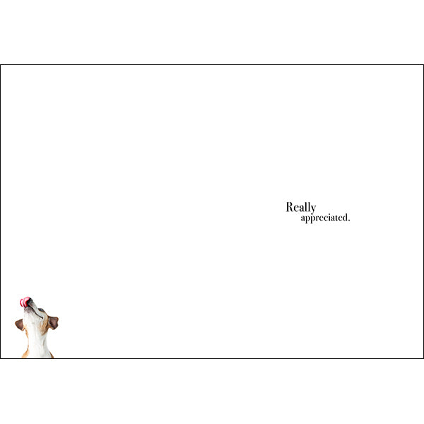 Animal Affirmations Card - Thanks Very Much (Dog)