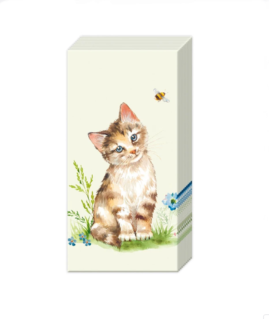 Pocket Tissues - Kira Kitten