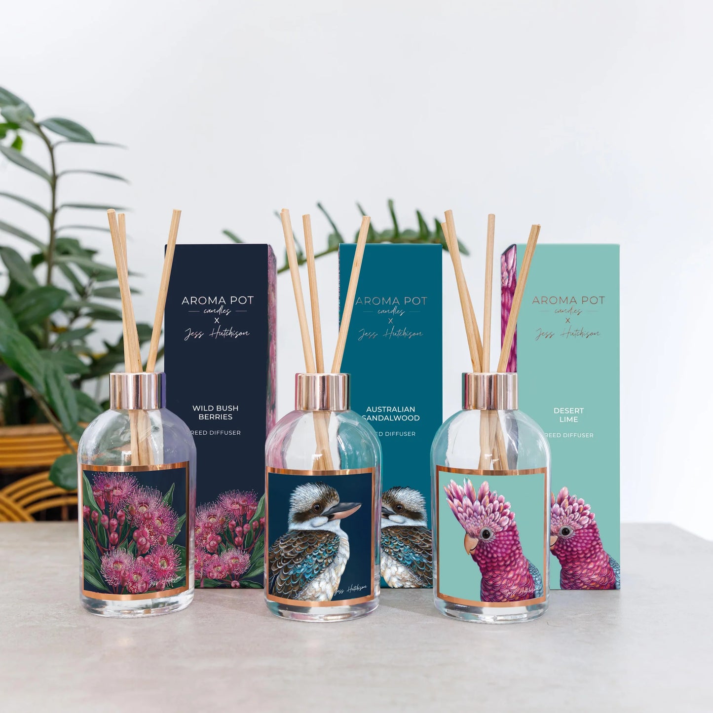 Aroma Pot Diffuser - Desert Lime (Galah)