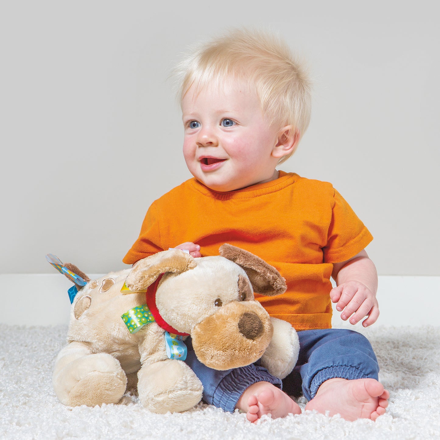 Mary Meyer Taggies - Buddy Dog Soft Toy