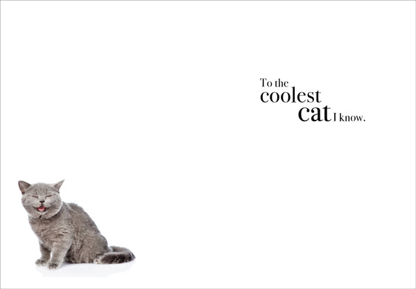 Animal Affirmations Card - Happy Birthday (Cat)