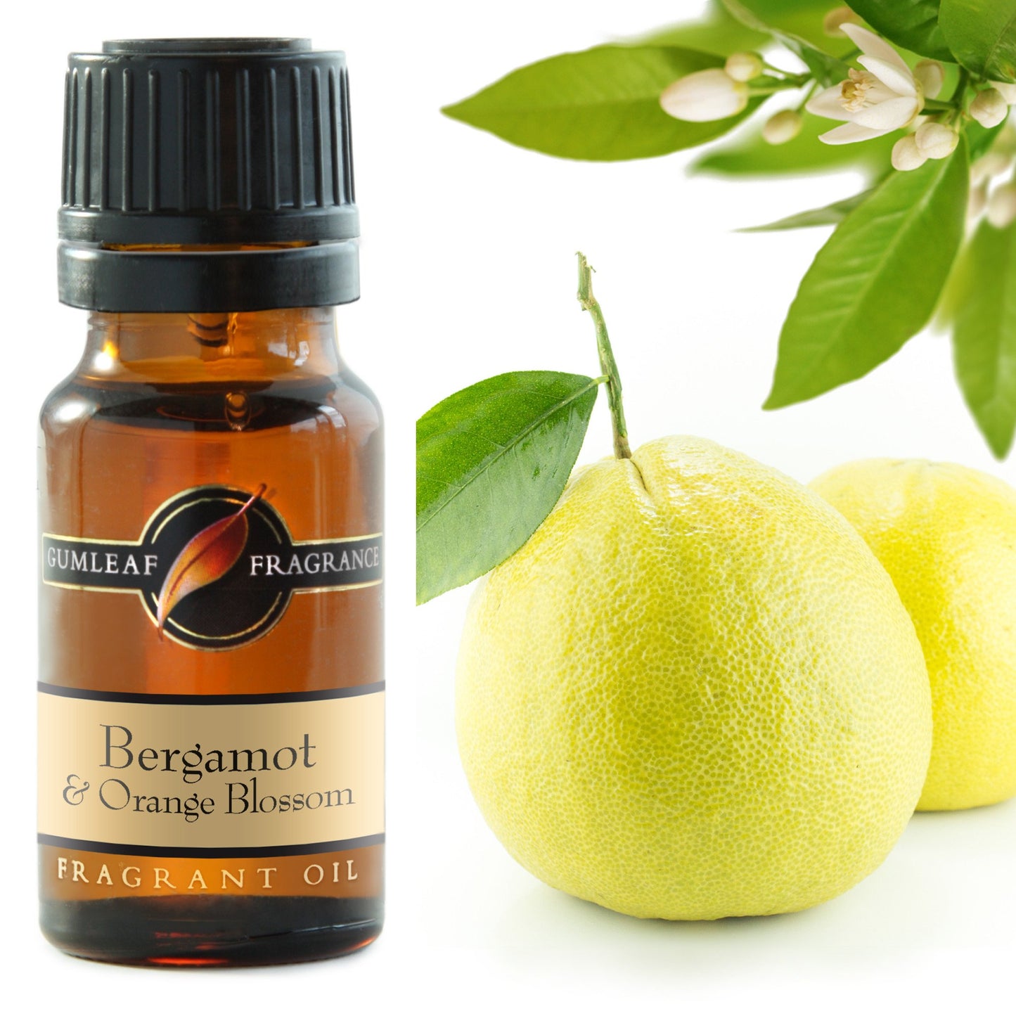 Fragrance Oil - Bergamot & Orange Blossom