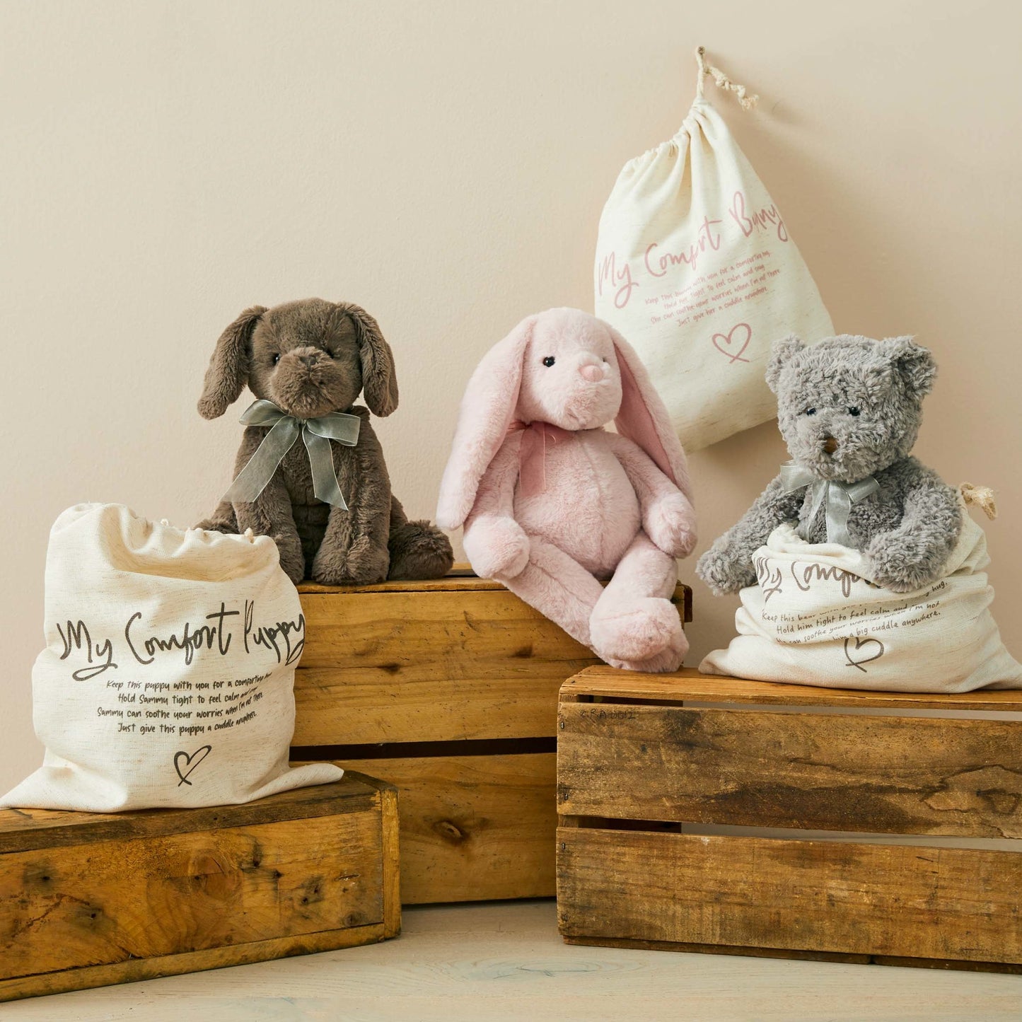 Darcy The Comfort Bear