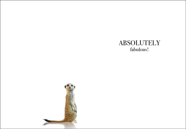 Animal Affirmations Card - Happy Birthday, Somebody Looks Fabulous! (Meerkat)