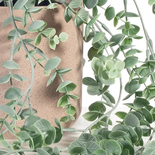 Eucalyptus Hanging Bush in Pot - Grey & Green 73cm
