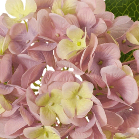 Hydrangea - Dusty Pink 46cm