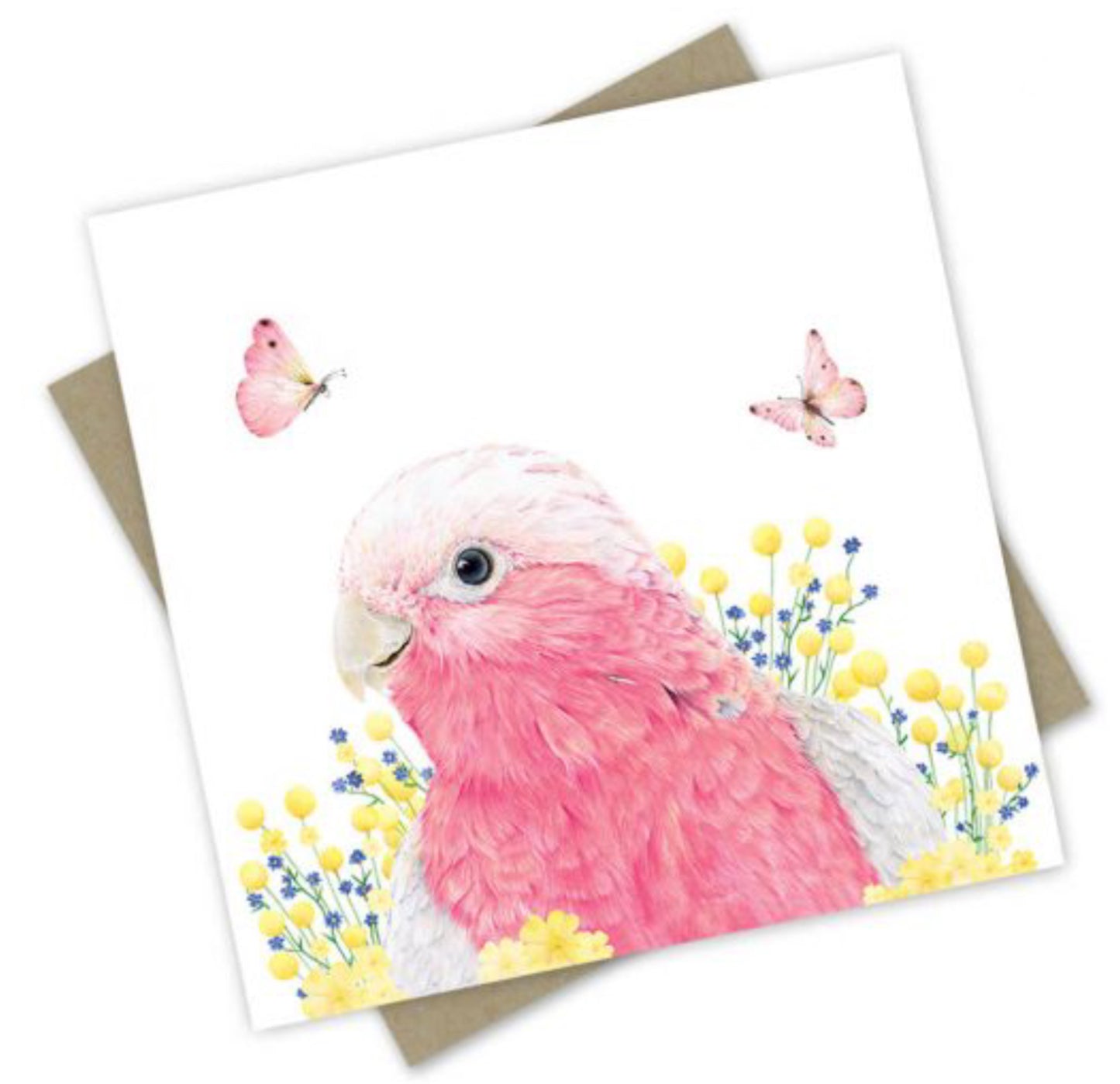 Card - Australian Collection: “Mavis” the Galah