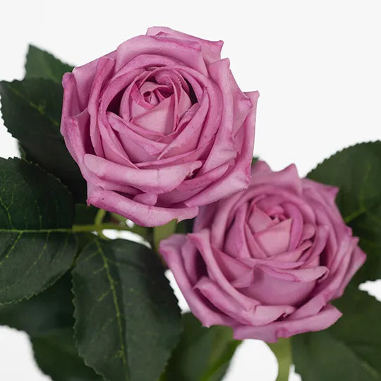 Rose Ariel Spray - Mauve 38cm