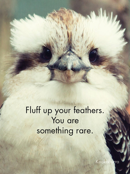 Little Affirmations Cards - Fair Dinkum Originals