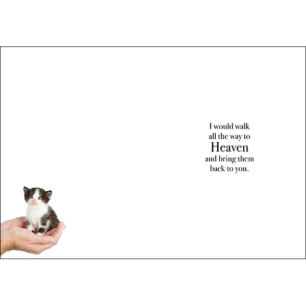 Animal Affirmations Card - If Tears Could Build A Staircase (Kitten)