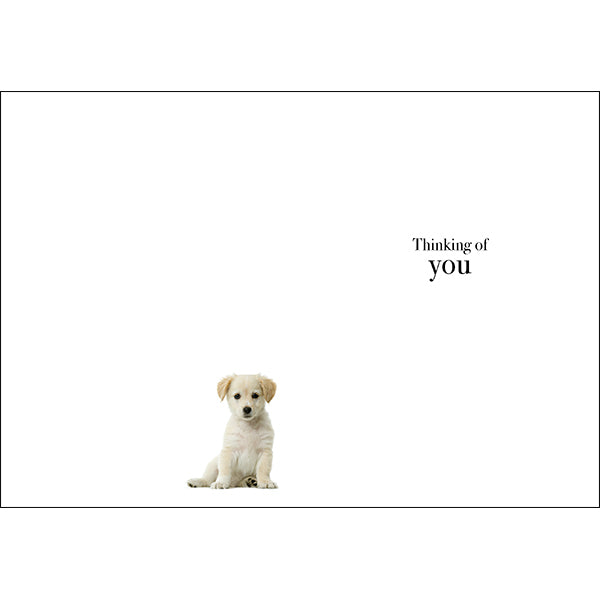 Animal Affirmations Card - Those We Love (Puppy)