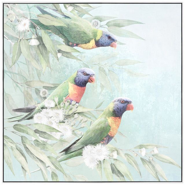 Lorikeet Trio Painting