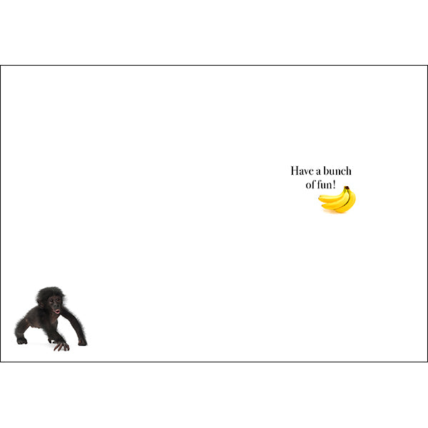 Animal Affirmations Card - Life’s Too Short (Monkey)