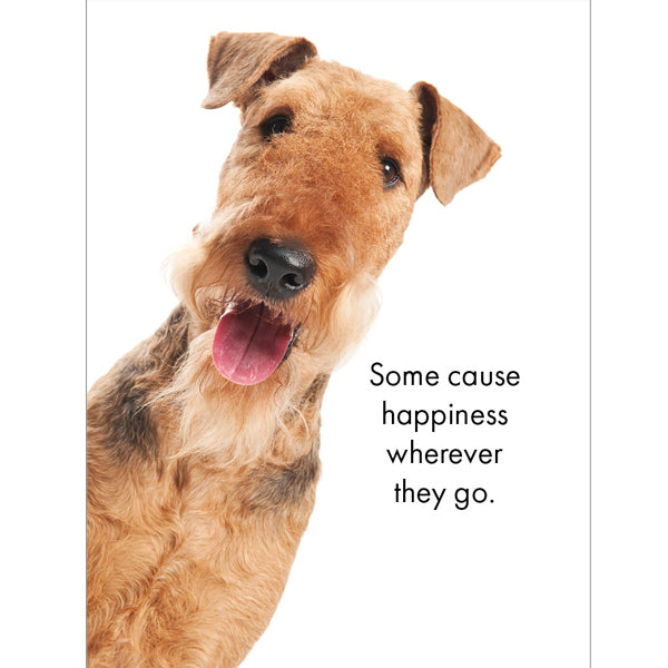 Little Affirmations Cards - Live Love Bark