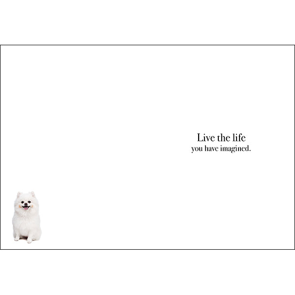 Animal Affirmations Card - Go Confidently (Dog)