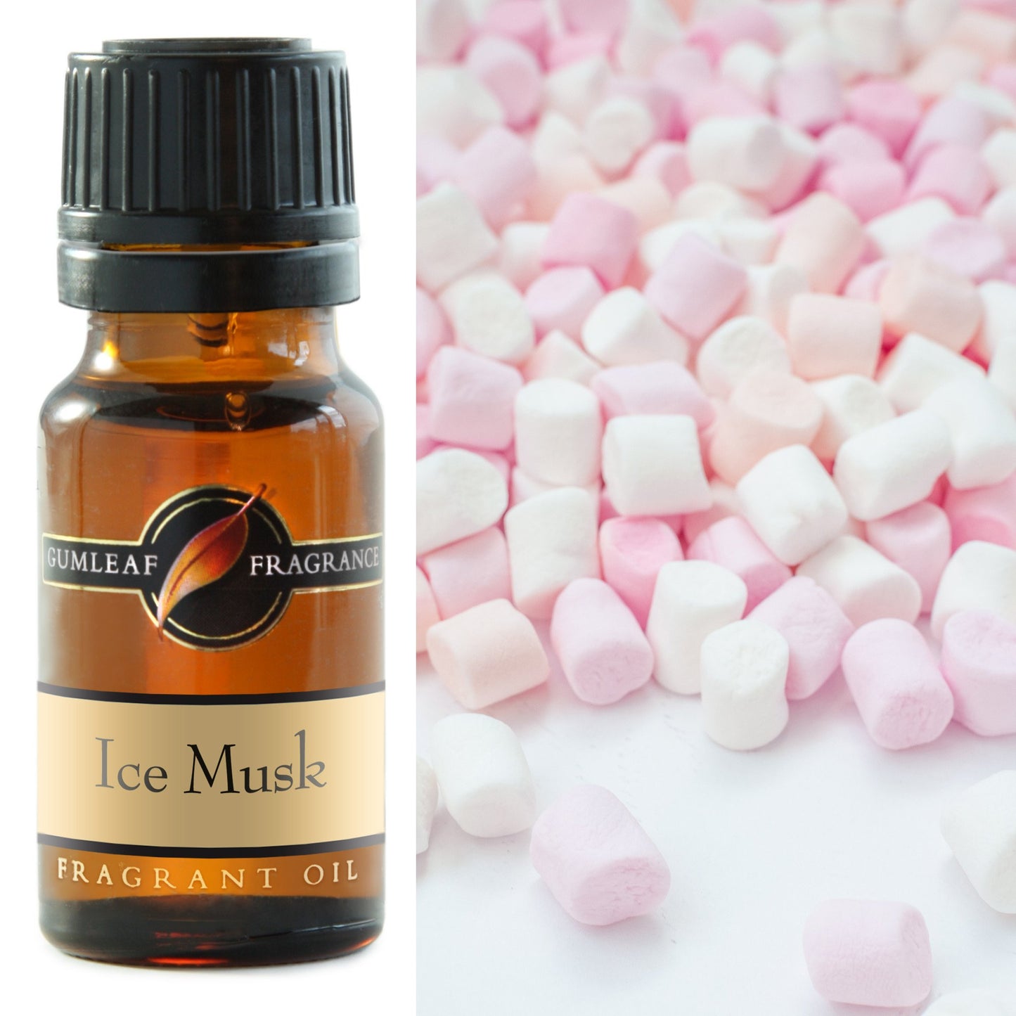 Fragrance Oil - Ice Musk