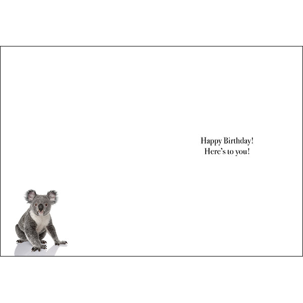 Animal Affirmations Card - Cheers Big Ears (Koala)