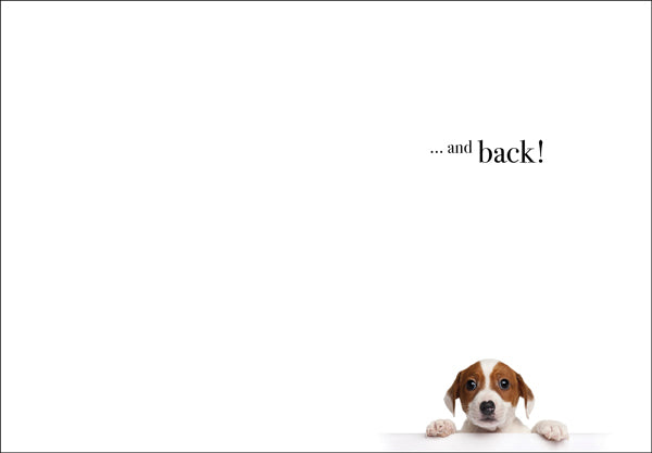 Animal Affirmations Card - Happy Birthday, Love You to the Moon (Puppy)