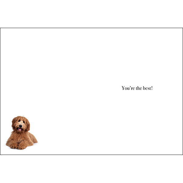 Animal Affirmations Card - Thank You (Dog)