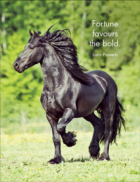 Little Affirmations Cards - Horse Sense