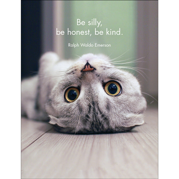 Little Affirmations Cards - Wise Cats