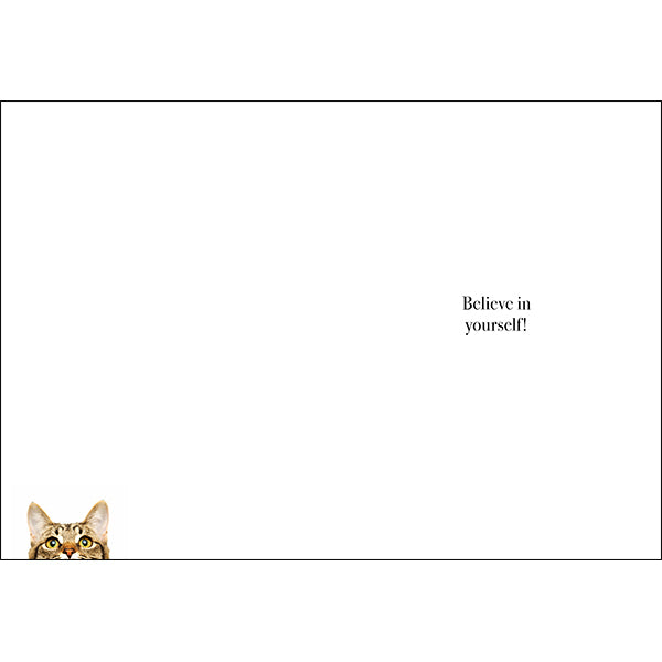 Animal Affirmations Card - You Are Stronger Than You Think (Cat)