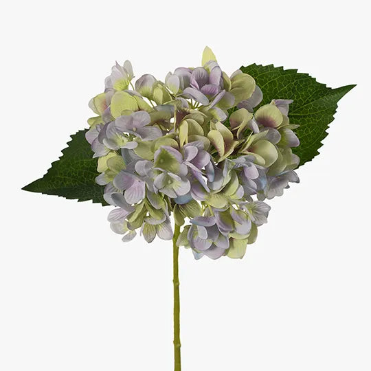 Hydrangea - Lavender Green 46cm