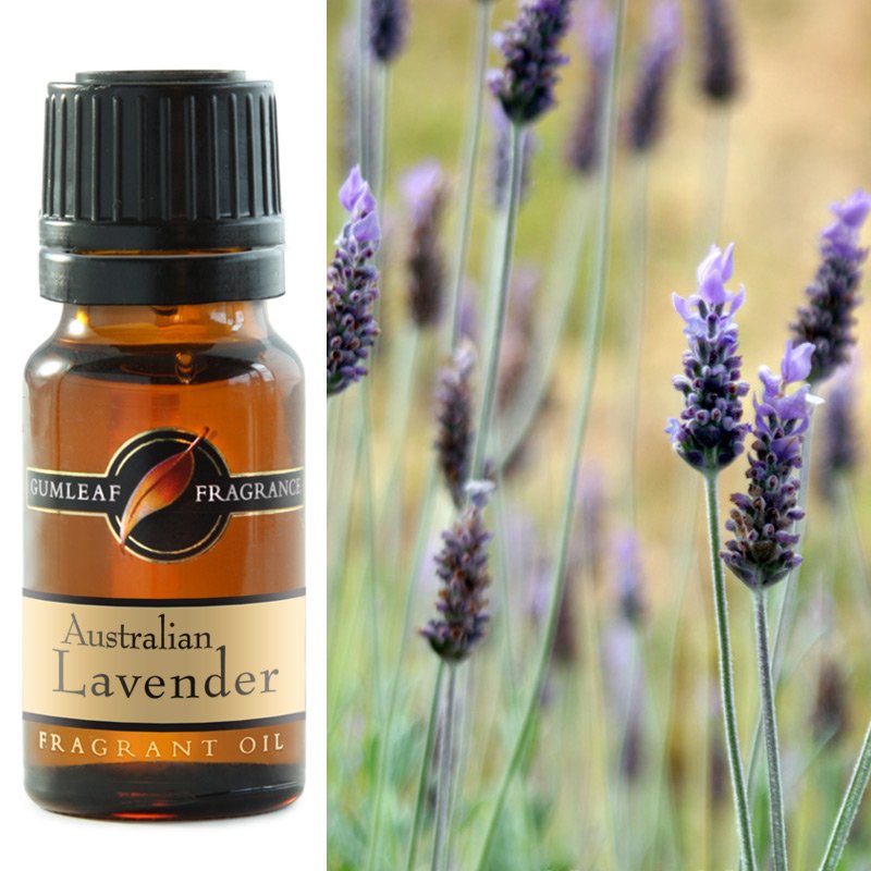 Fragrance Oil - Australian Lavender