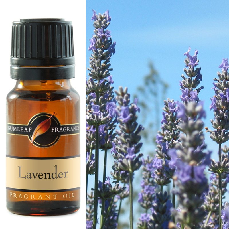 Fragrance Oil - Lavender