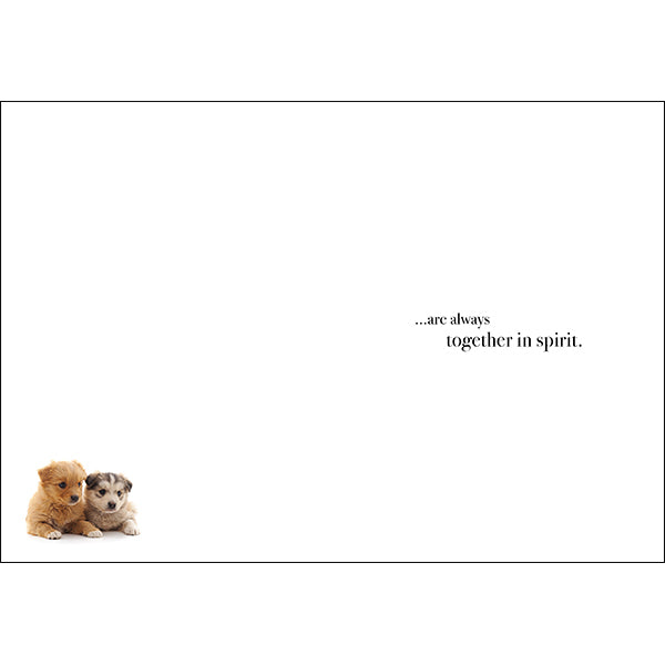 Animal Affirmations Card - True Friends (Puppies)