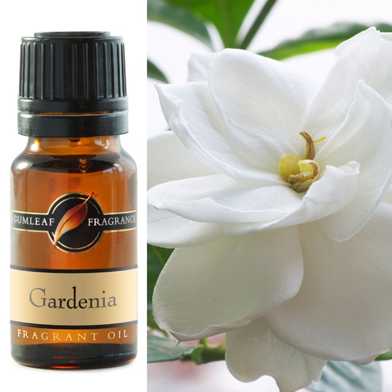 Fragrance Oil - Gardenia