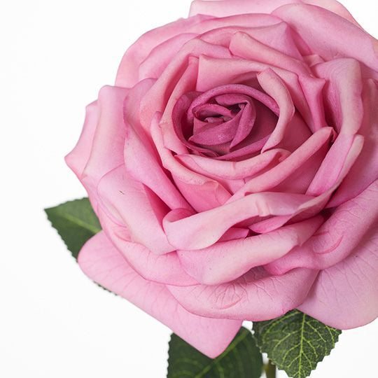 Rose Bella - Mauve 37cm