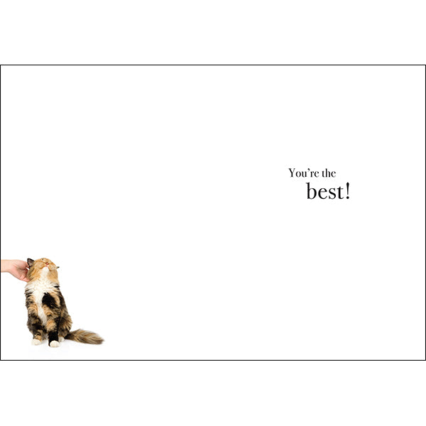 Animal Affirmations Card - Thanks Furry Much! (Cat)
