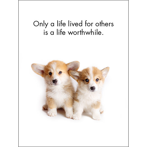 Little Affirmations Cards - Little Treasures