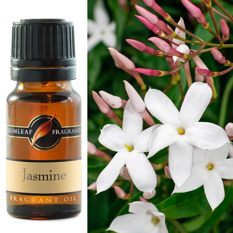 Fragrance Oil - Jasmine